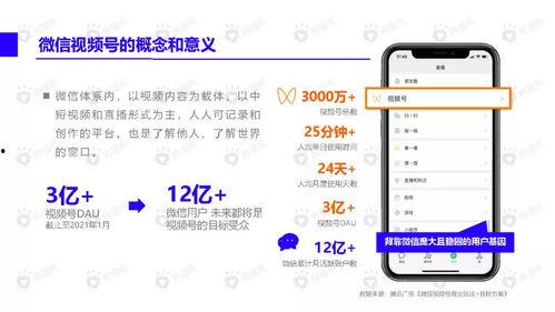 小红花爆料新闻视频下载,新闻视频下载背后的秘密 第2张 小红花爆料新闻视频下载,新闻视频下载背后的秘密 第2张