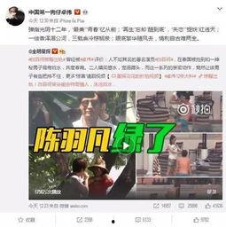 爆料视频会视同作品吗,法律视角下的“作品”认定新解读 第2张 爆料视频会视同作品吗,法律视角下的“作品”认定新解读 第2张