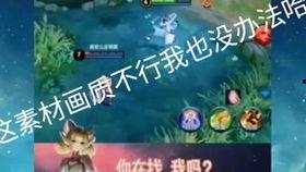 娱乐爆料配音素材视频,揭秘配音素材视频背后的精彩故事