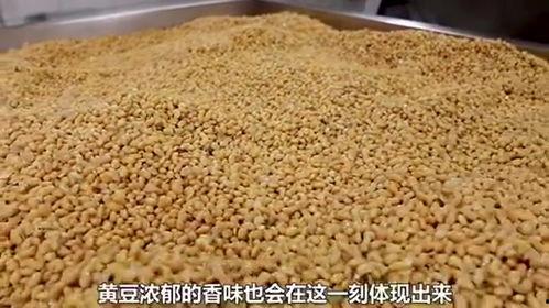 豆瓣酱生产爆料视频播放,传统工艺与现代技术的完美融合 第2张 豆瓣酱生产爆料视频播放,传统工艺与现代技术的完美融合 第2张