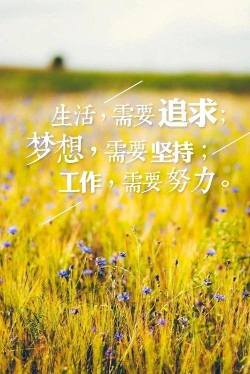 早安最新爆料图片大全集,最新图片大全集精彩瞬间回顾