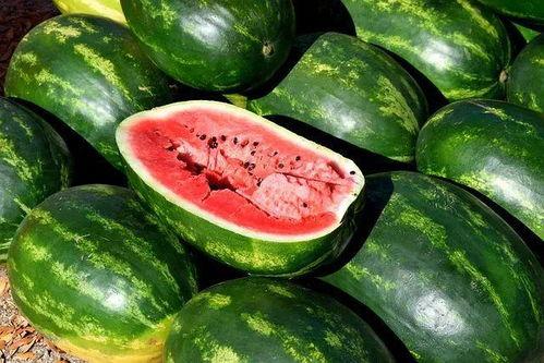 吃瓜素材视频下载免费,揭秘热门素材视频免费下载攻略  第3张