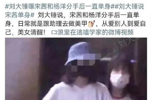 刘大锤最新爆料分手,明星情侣分手内幕大曝光！